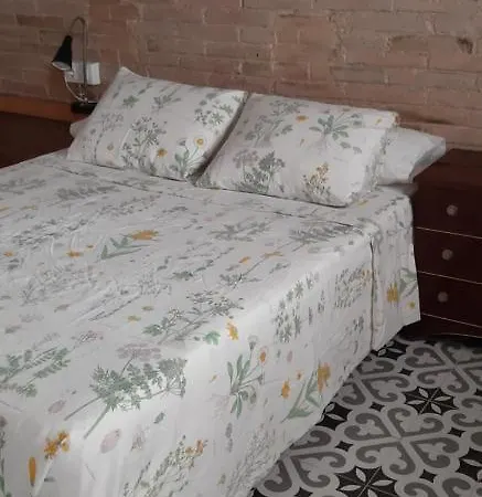Accommodatie bij particulieren Carrer Santa Eulalia- Hospitalet De Llobregat- Bcn *
